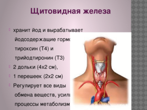 Проблемы с щитовидной железой у женщин
