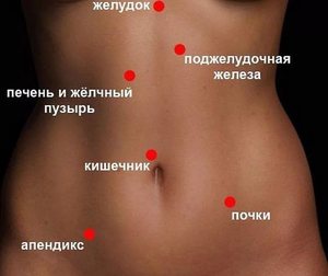 Топография тела человека