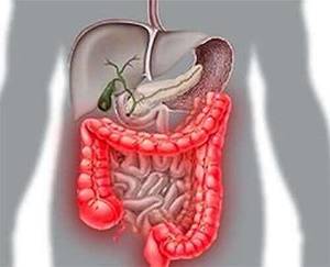 Как питаться при воспалении кишечника