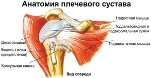 Как лечат заболевания плечевого сустава