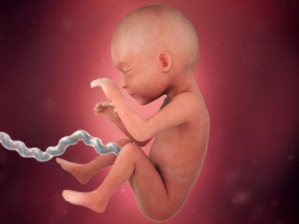 Ветряная оспа у младенцев: симптомы и лечение младенцев 2